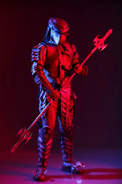 Photo 25